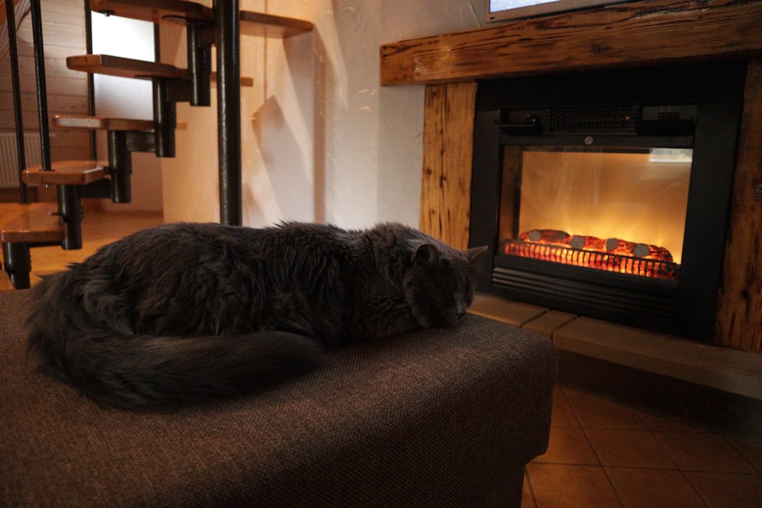 Happy homeowner enjoying efficient heating — Advantages of Using an Electric Furnace