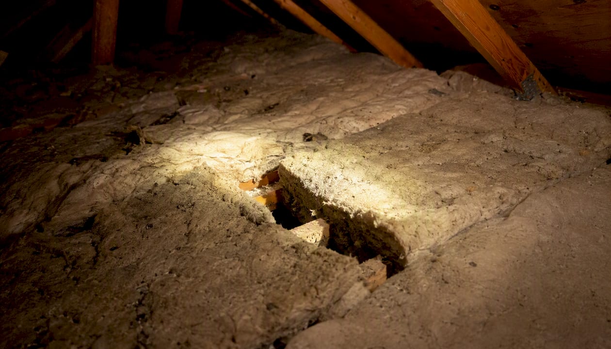 Old attic insulation under flashlight beam