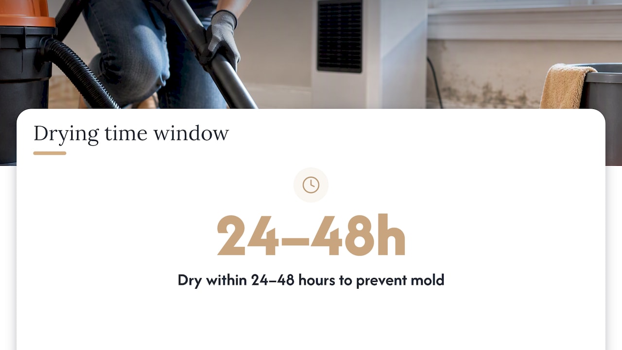 7 Steps to Stop Mold in 48 Hours After Water Damage, for Homeowners mold after water damage mold after water damage 1790971650506 Drying window and mold risk factors Drying window and mold risk factors